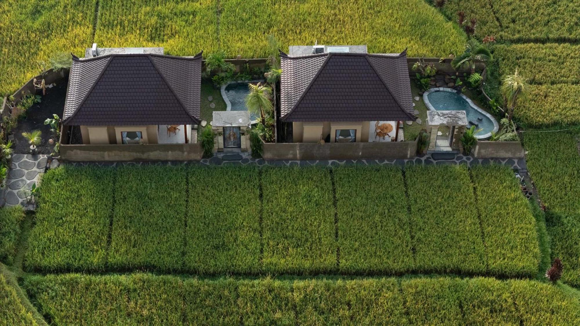 Sawah Sebatu