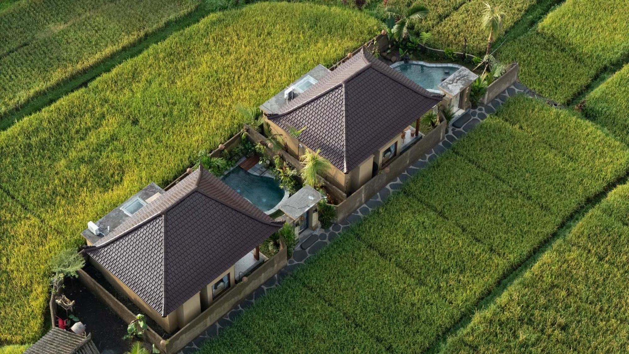 Villa Sawah Sebatu