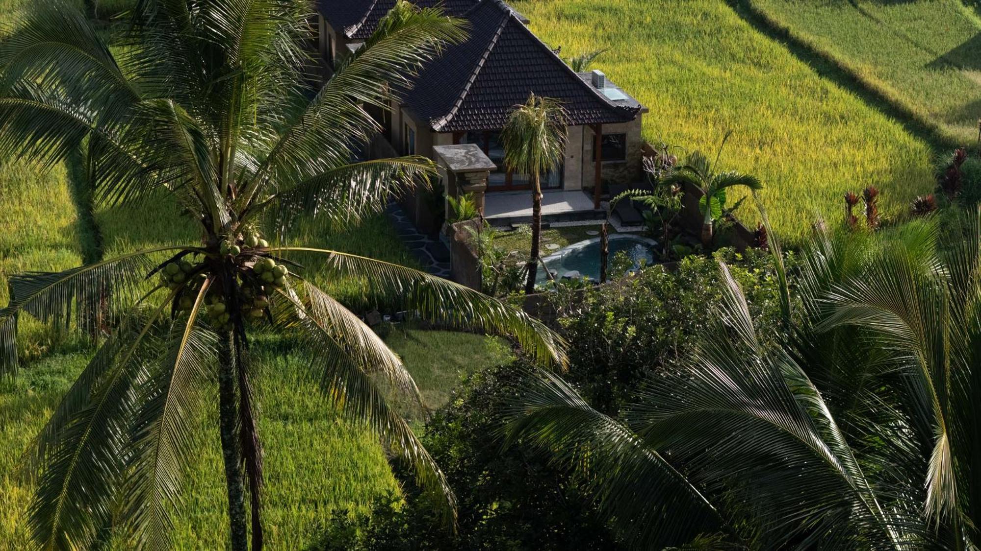 Villa Sawah Sebatu Ubud